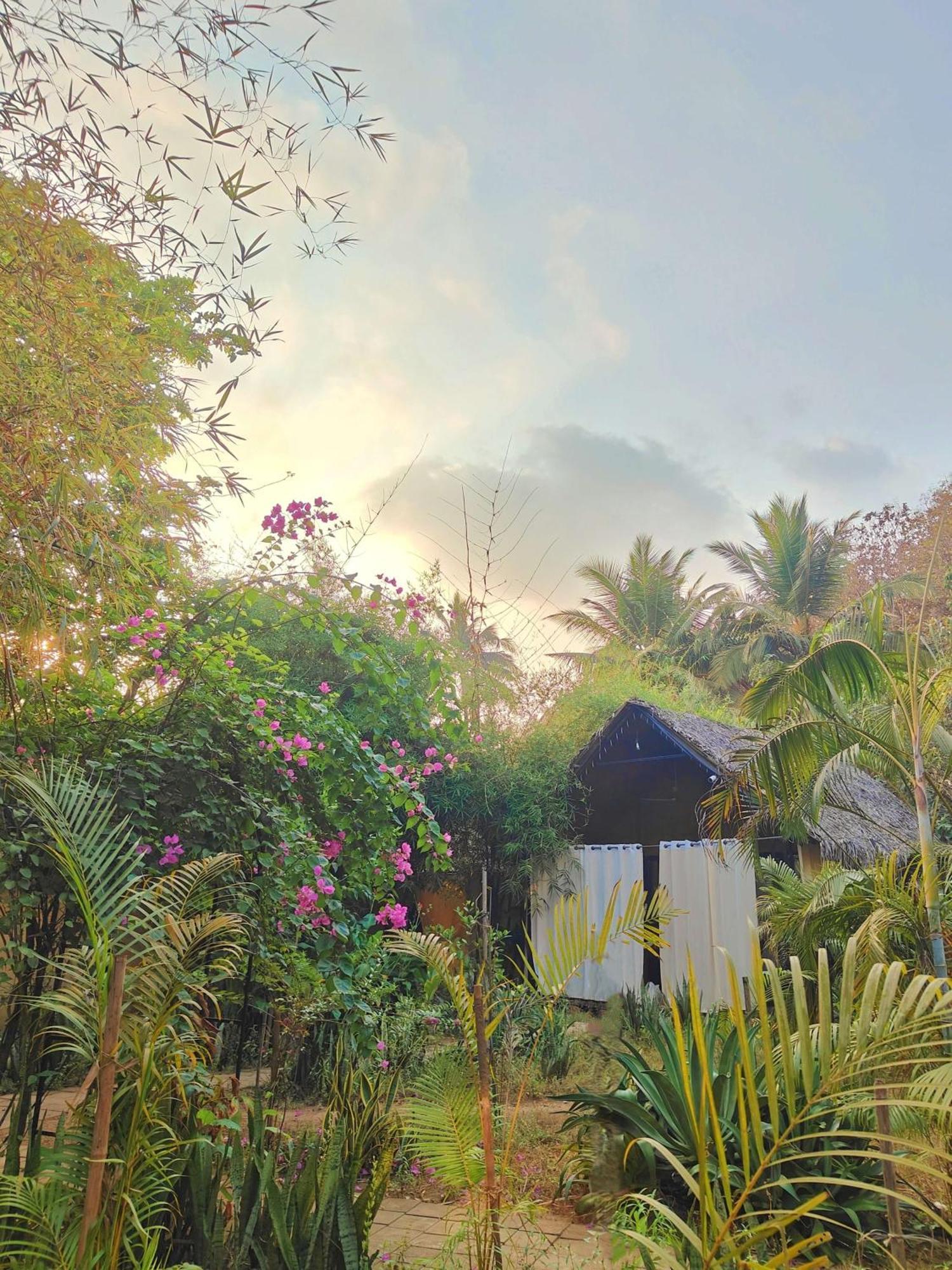 Nada Brahma Patnem Beach Ngoại thất bức ảnh